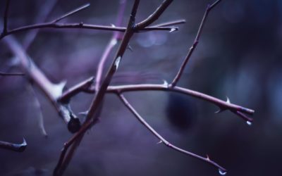 Discovering Strength In Our Times of Weakness (2 Corinthians 12:1-10)